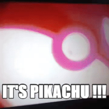 image of It's Pikachu !