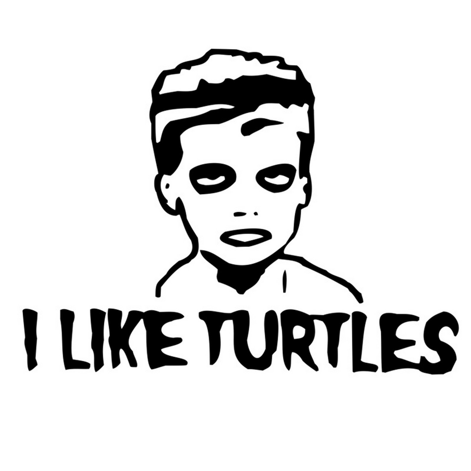 Image result for I like turtles