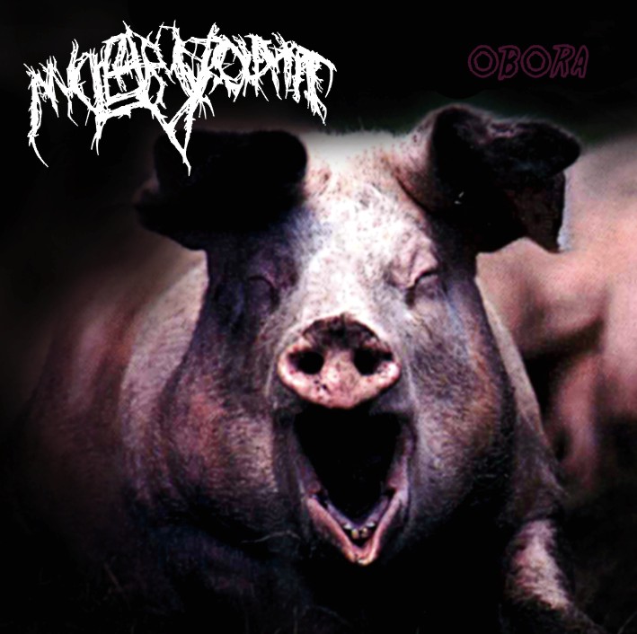 image of Oink! Heavy metal pigs!