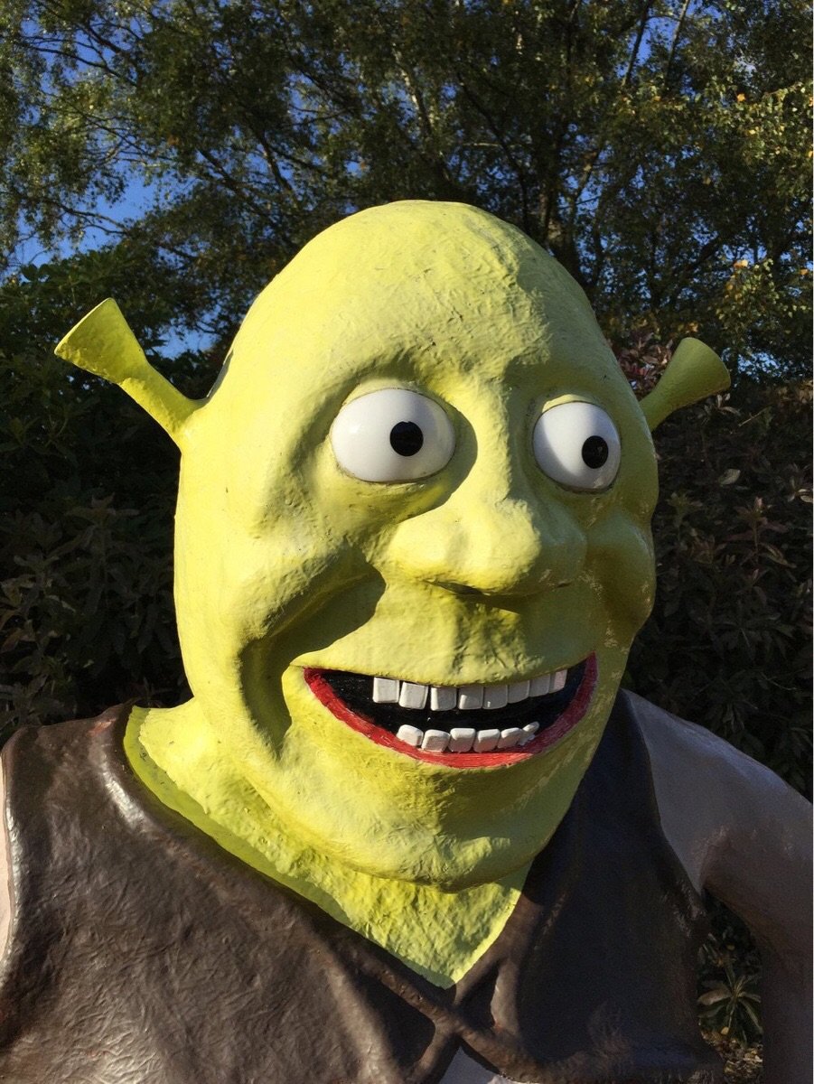image of Shrek Hello There